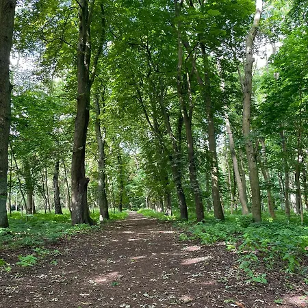 Przy Morzu * Sasnowa