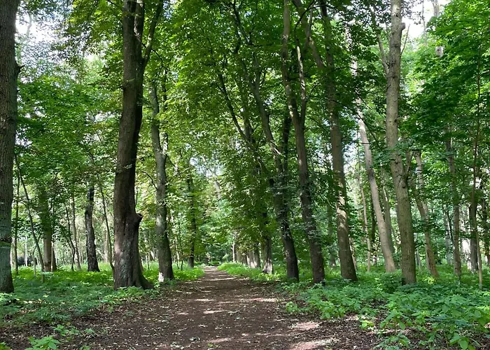 Przy Morzu * Sasnowa